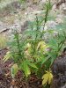 20180723_120321.jpg