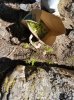 20180925_130311.jpg