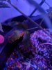 MVIMG_20181009_184125.jpg