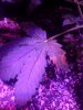 MVIMG_20181009_184043.jpg