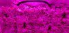 20181008_213126.jpg