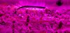 20181008_213119.jpg