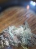 20181013_071759.jpg