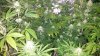 20181014_033512.jpg
