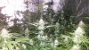 20181014_033610.jpg