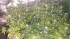 20181014_033458.jpg