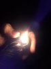 20181014_114704.jpg