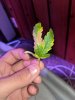IMG_20181017_214027.jpg
