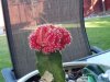 20180928_163953.jpg