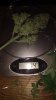 IMG-20181020-WA0007.jpeg