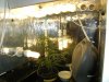 grow journal 410.jpg