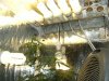 grow journal 412.jpg
