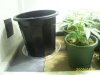 Pictures 001.jpg