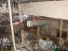DSC00885.jpg