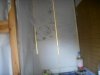 SDC12552.jpg