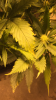 6A6A32FF-2E99-4C8F-9C14-25E9F5E1F89F.png