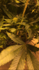 484888F2-29FC-457D-82BF-B788373AC652.png