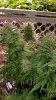 20181104_140427.jpg