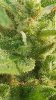 Screenshot_20181107-083038_Gallery.jpg