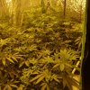 VideoCapture_20181107-085105.jpg