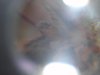 DSC02897.jpg