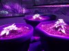 20181108_192751.jpg