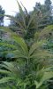 20160808_100409.jpg