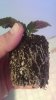 20181118_141447.jpg