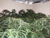 20181120_073748.jpg
