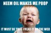 BABY NEEM.jpg BABY NEEM.jpg