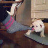 D733C339-E4E4-4ABE-9F11-508D6F49210F.gif