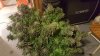 image-20181125_154526.jpg image-20181125_154526.jpg