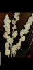 Screenshot_20181127-221536_Gallery.jpg