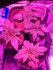IMG_20181129_064012.jpg
