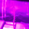 Screen Shot 2018-12-01 at 19.56.37.png