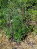 IMG_20181202_155956-02.jpeg