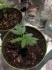IMG_20181203_110839.jpg