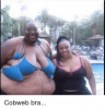 cobweb-bra-2597388.png