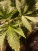 20181209_050535.jpg