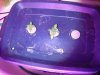 DSCN2767.JPG