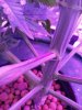 IMG_20181125_142306822.jpg