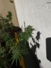 20181213_130717.jpg