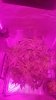 20181214_130539.jpg