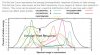 photoreceptorsmcreephosphor.jpg photoreceptorsmcreephosphor.jpg