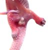 Pangolin 045.jpg
