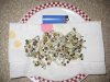 Mushrooms 018.jpg