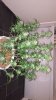 2B59B479-FC6B-40F5-BC35-869E9BC920D7.jpeg