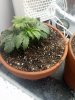 20181223_170333.jpg