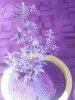 20181228_074512_Film4.jpg