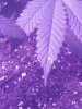 20181228_072956_Film4.jpg